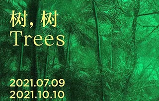 AIVA Guide | 高溫來(lái)襲，我們?cè)诿佬g(shù)館避暑，7月好展推薦